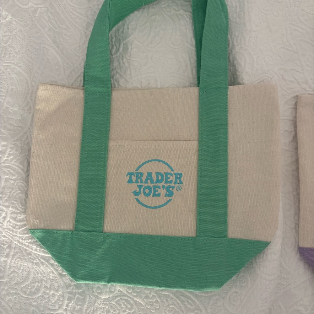 Pastel Green Trader Joe’s Mini Tote SPRING NWT